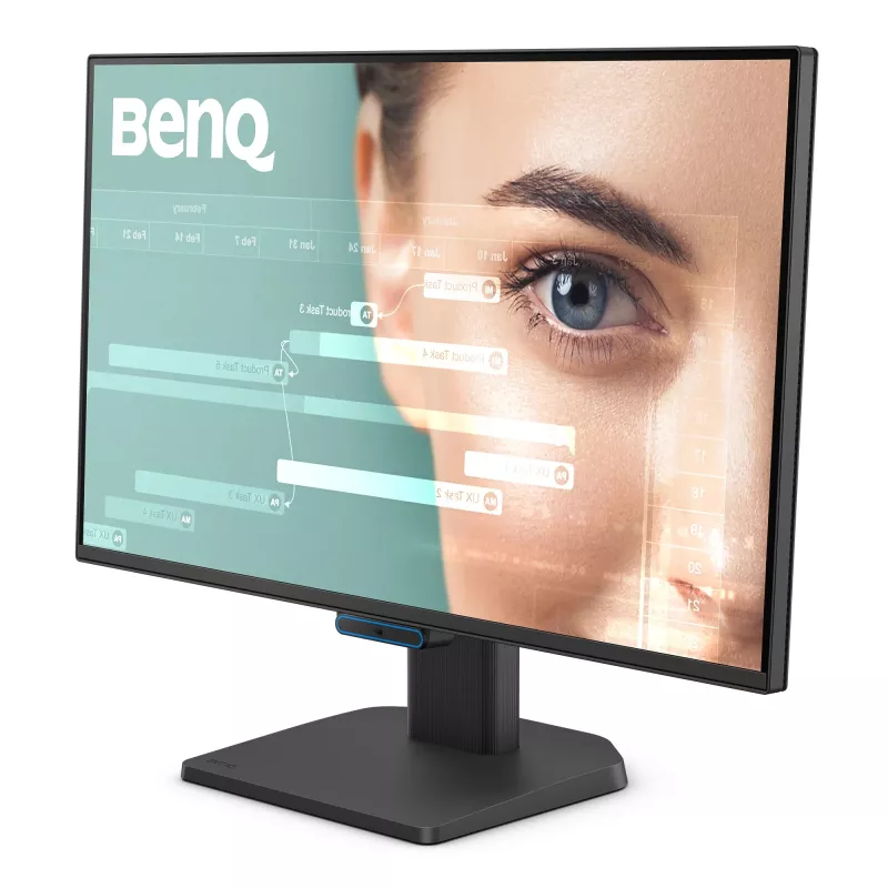 Arvutimonitor BenQ GW2490C 23.8 tolli (60.5 cm) Full HD 1920×1080 5 ms 178° VESA Must kõlaritega