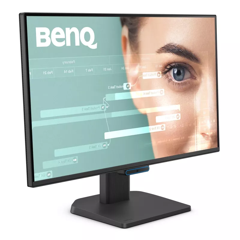 Arvutimonitor BenQ GW2490C 23.8 tolli (60.5 cm) Full HD 1920×1080 5 ms 178° VESA Must kõlaritega