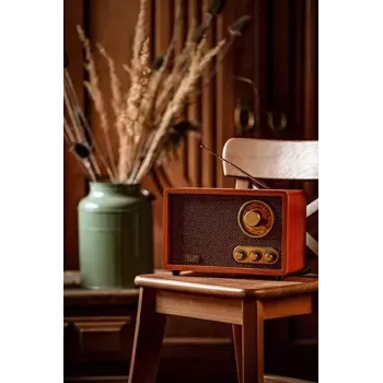 Kaasaskantav raadio Adler AD 1171 — AM/FM, 10 W RMS, Bluetooth, välisantenn, pronksjas, 290×200×172 mm