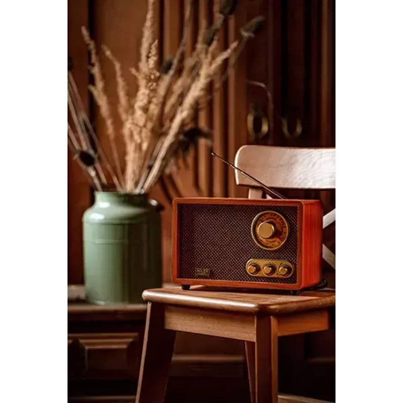 Kaasaskantav raadio Adler AD 1171 — AM/FM, 10 W RMS, Bluetooth, välisantenn, pronksjas, 290×200×172 mm