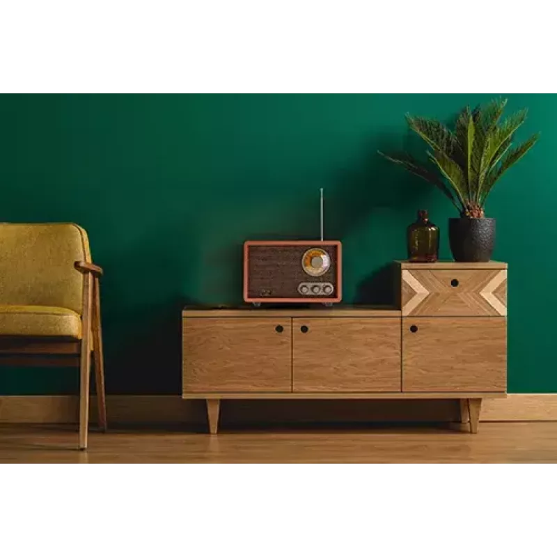 Kaasaskantav raadio Adler AD 1171 — AM/FM, 10 W RMS, Bluetooth, välisantenn, pronksjas, 290×200×172 mm