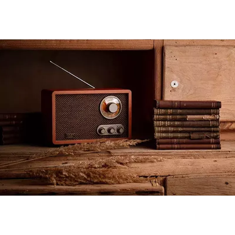 Kaasaskantav raadio Adler AD 1171 — AM/FM, 10 W RMS, Bluetooth, välisantenn, pronksjas, 290×200×172 mm