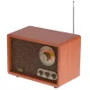 Kaasaskantav raadio Adler AD 1171 — AM/FM, 10 W RMS, Bluetooth, välisantenn, pronksjas, 290×200×172 mm