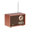 Kaasaskantav raadio Adler AD 1171 — AM/FM, 10 W RMS, Bluetooth, välisantenn, pronksjas, 290×200×172 mm