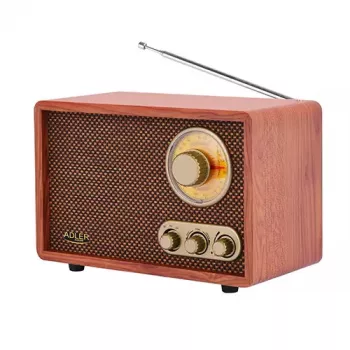 Kaasaskantav raadio Adler AD 1171 — AM/FM, 10 W RMS, Bluetooth, välisantenn, pronksjas, 290×200×172 mm