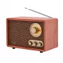Kaasaskantav raadio Adler AD 1171 — AM/FM, 10 W RMS, Bluetooth, välisantenn, pronksjas, 290×200×172 mm