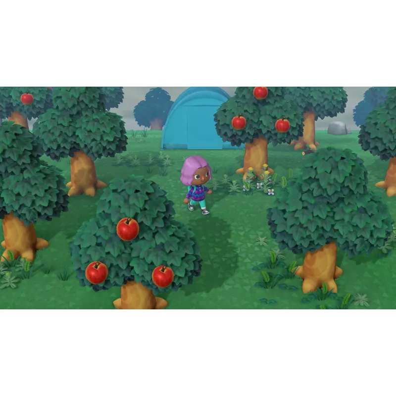 Nintendo Animal Crossing: New Horizons Standard saksa, inglise Nintendo Switch