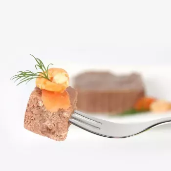 Märg kassitoit animonda Vom Feinsten Mature Salmon 100 g — täiskasvanud, alus, gluteeni- ja sojavaba