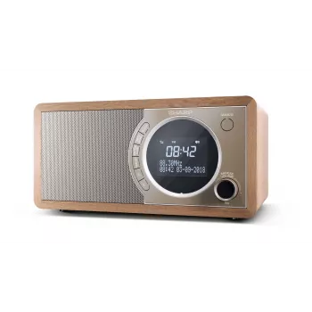 Sharp DR-450 isiklik digitaalne raadio pruun, roostevaba teras