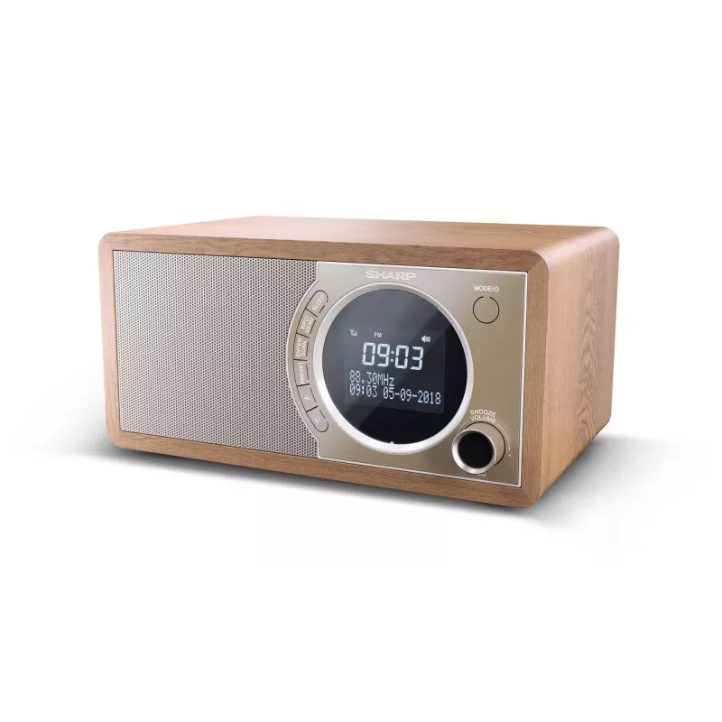 Sharp DR-450 isiklik digitaalne raadio pruun, roostevaba teras