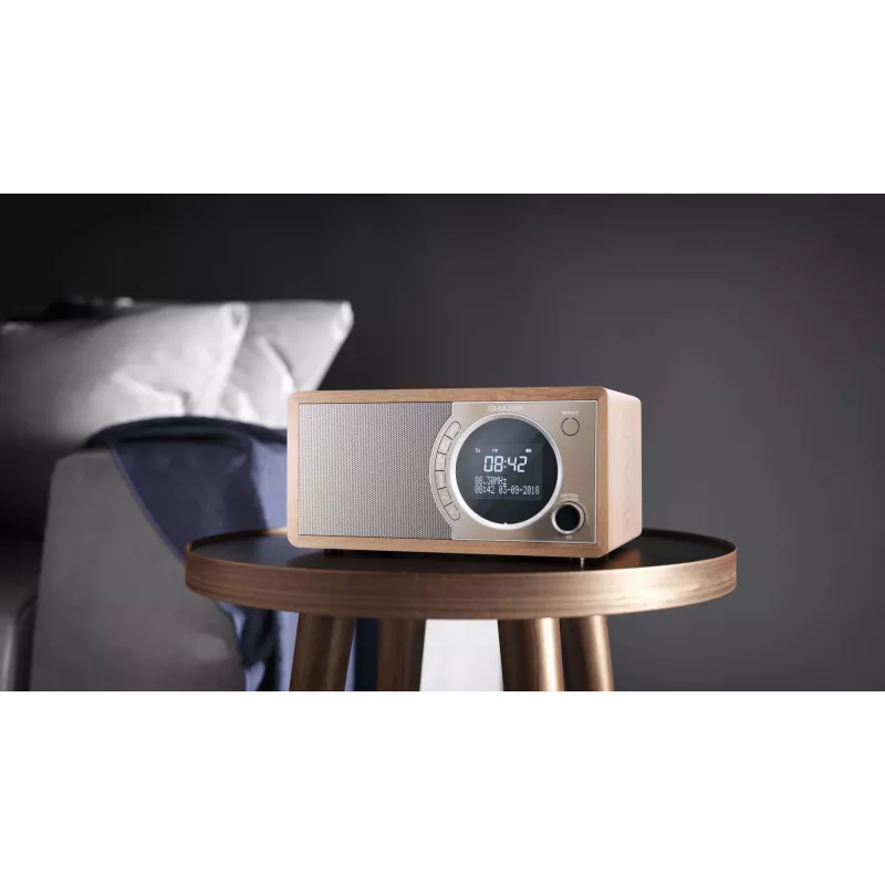 Sharp DR-450 isiklik digitaalne raadio pruun, roostevaba teras