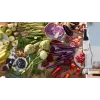 Bosch Serie 4 MSM4W210 blender 0,6 L saumikser 600 W Must, Valge