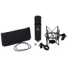 Stuudiomikrofon Warm Audio WA-47JR Must