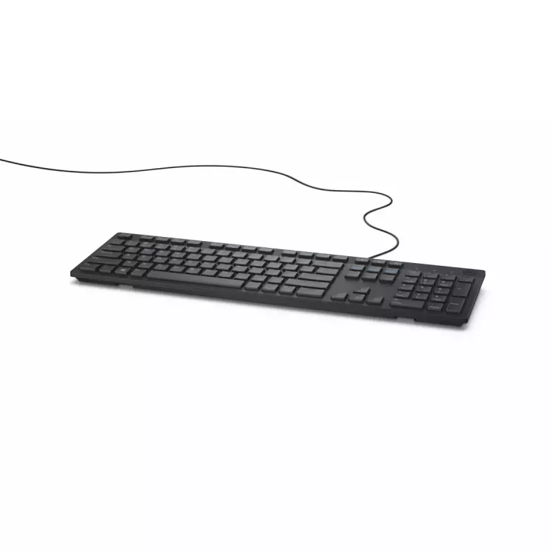 DELL KB216 klaviatuur Universaalne USB QWERTY US International Must