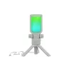 GENESIS Radium 250 valge mängukonsooli mikrofon