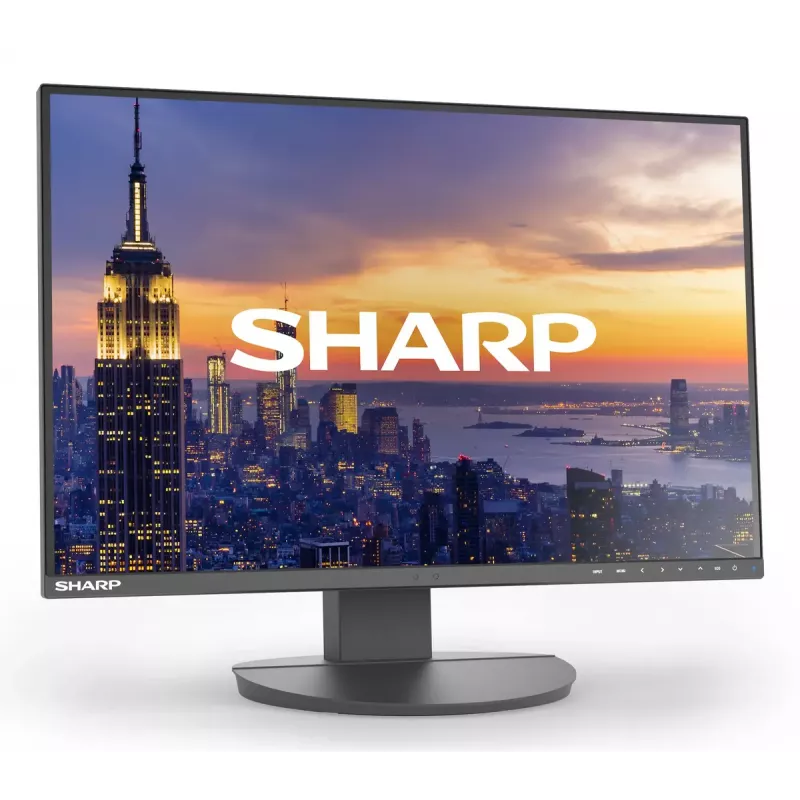 24-tolline Sharp MultiSync EA242W LCD-kuvar IPS 1920 x 1200 16:10 5 ms USB 3.2 jaotur VESA kõrgusreguleeritav must