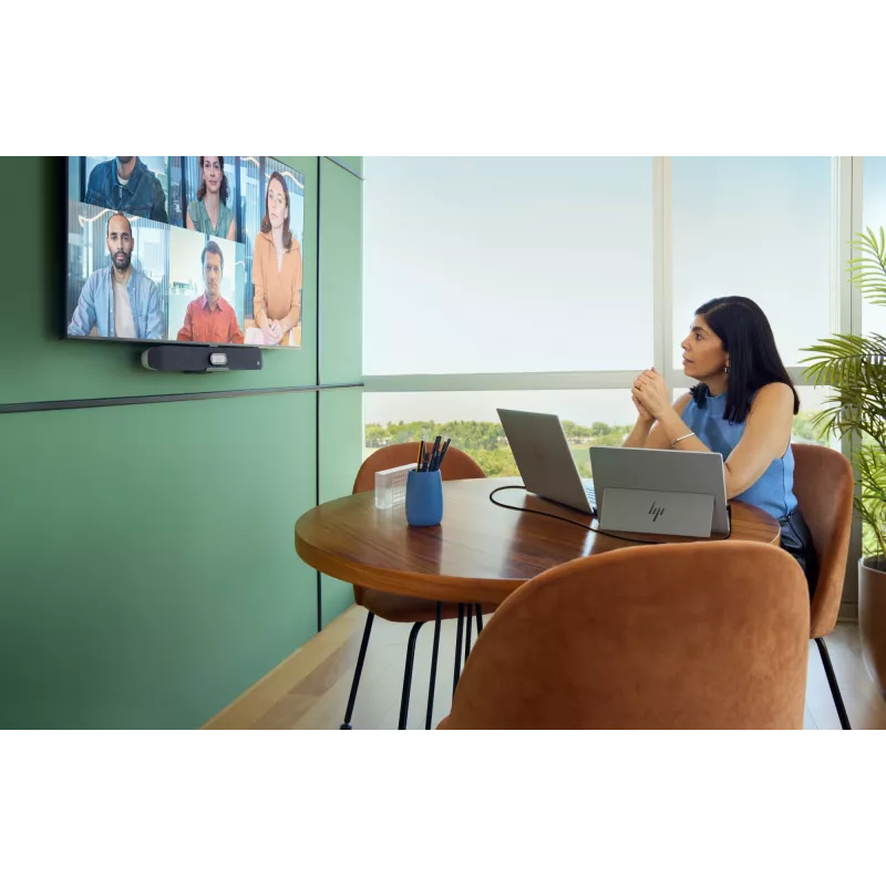 HP Series 5 Pro 14-tolline WQXGA kaasaskantav monitor - 514pn