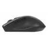 ASUS WT425 hiir kontor Paremakäeline RF traadita optiline 1600 DPI