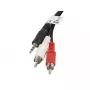 Helikaabel Lanberg CA-MJRC-10CC-0020-BK 3,5 mm RCA 2 m Must Punane Valge
