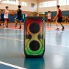 Kõlarisüsteem BLAUPUNKT PB60X — 120W RMS, Bluetooth A2DP, FM, LED-ekraan, 7000mAh aku, 18h, AUX, kaugjuhtimispult, 568×322×321 mm