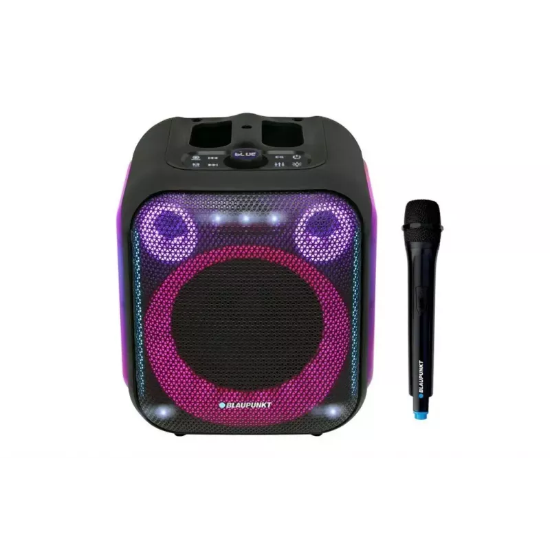 Sise-/välistingimustes kasutatav kõlarisüsteem BLAUPUNKT PB6LED — 40 W RMS, Bluetooth, FM, MicroSD, LED-ekraan, 4500 mAh aku