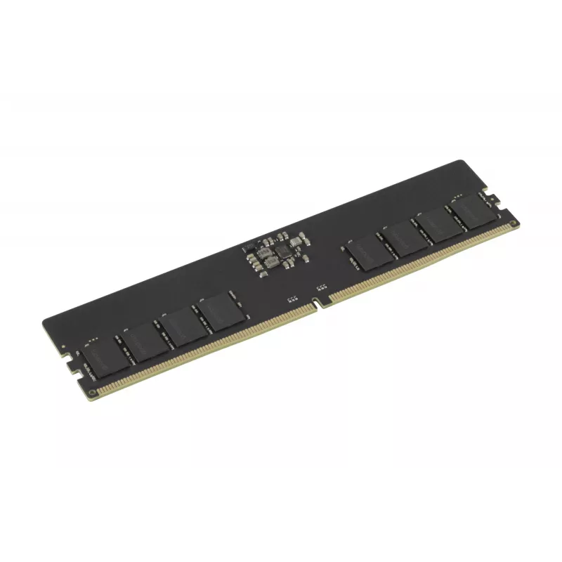 Goodram Pami DDR5 16GB/4800 CL40 - 16 GB mälumoodul 1 x 16 GB 288-pin DIMM ECC