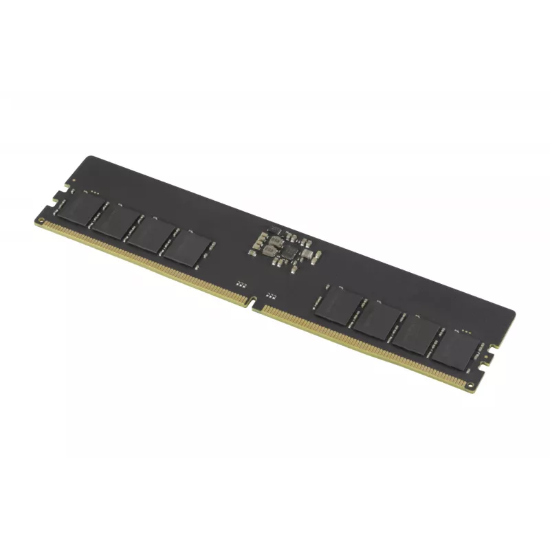 Goodram Pami DDR5 16GB/4800 CL40 - 16 GB mälumoodul 1 x 16 GB 288-pin DIMM ECC