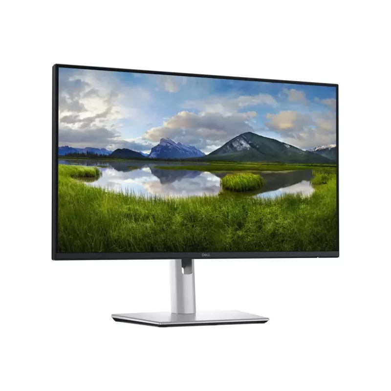 Dell P2425DE | 24 tolli | IPS | 16:9 | 100 Hz | 5 ms | 2560 x 1440 pikslit | 350 cd/m² | HDMI-portide arv 1 | Garantii 60 kuud