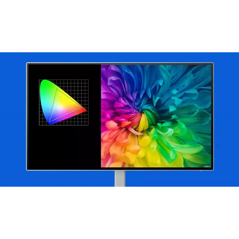 Philips Brilliance 27E3U7903/00 arvutimonitor 68,6 cm (27 tolli) 5120 x 2880 pikslit 5K Ultra HD LCD Hall