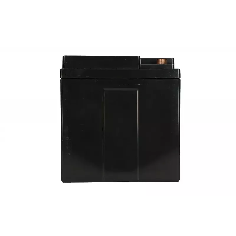 Extralink AGM suletud pliiaku 12V 40Ah hooldusvaba, VRLA, 12,2 kg