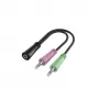 Hama 00200351 helikaabel 0,15 m 3,5 mm TRS 2 x 3,5 mm Must