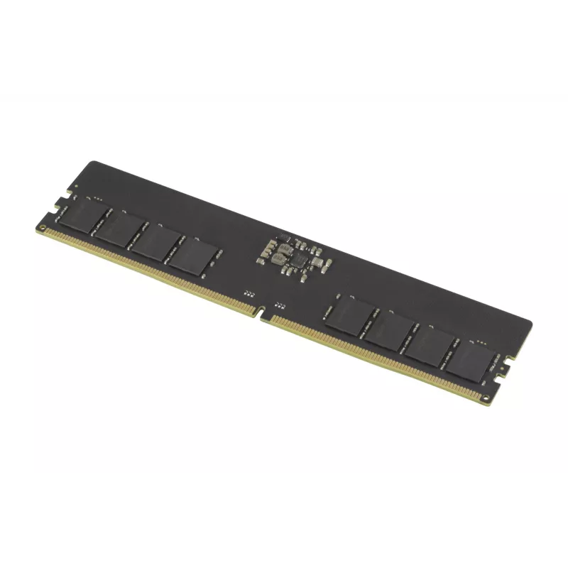 Goodram GR5600D564L46S/8G mälumoodul 8 GB 1 x 8 GB DDR5 288 kontaktiga DIMM