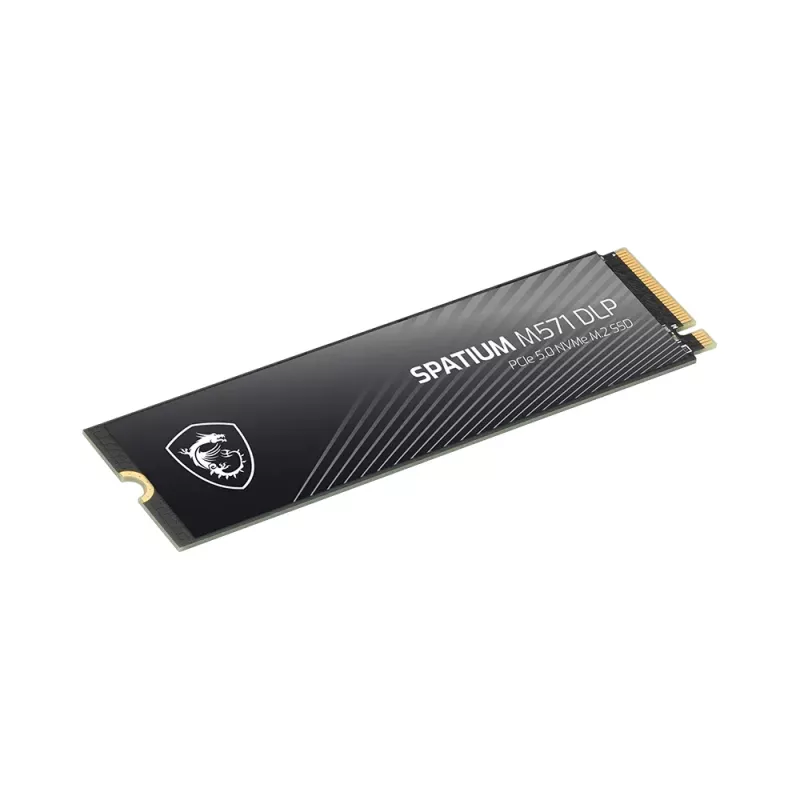 MSI SPATIUM M571 DLP PCIe 5.0 NVMe M.2 4T sisemine pooljuhtketas 4 TB PCI Express 5.0 3D NAND
