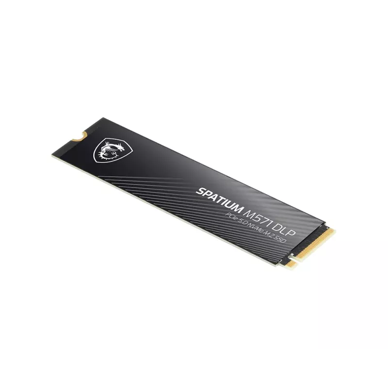 MSI SPATIUM M571 DLP PCIe 5.0 NVMe M.2 4T sisemine pooljuhtketas 4 TB PCI Express 5.0 3D NAND