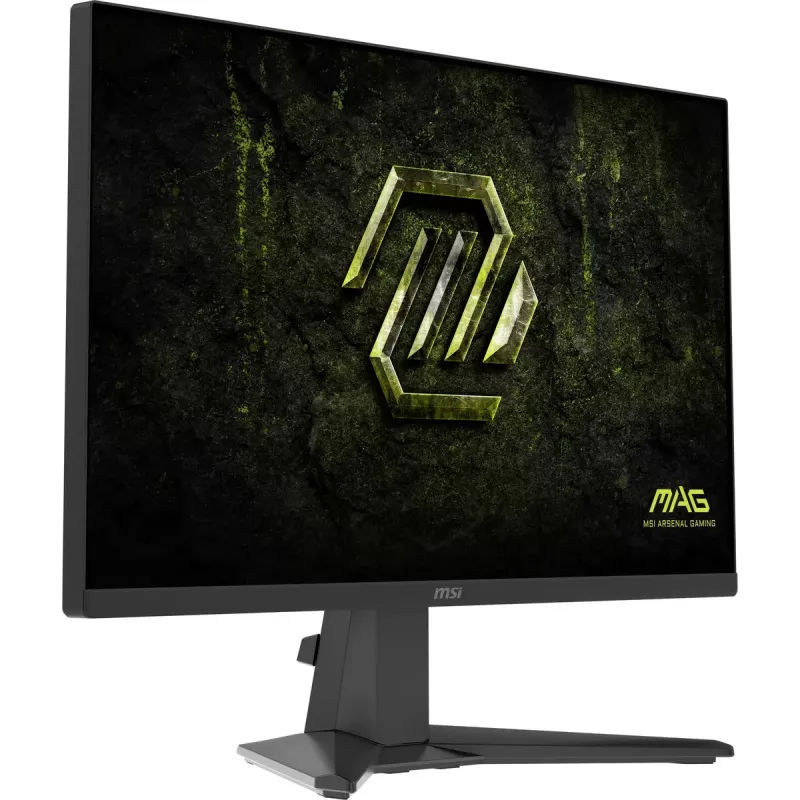MSI MAG 245F X24 arvutimonitor 60,5 cm (23,8 tolli) 1920 x 1080 pikslit Full HD LCD must