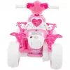 Laste elektriline sõiduveok HUFFY 19055W 6V aku roosa