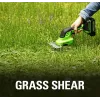 Akuga murukäärid GreenWorks 1600607VA — 12 cm roostevabast terasest tera, 24 V Li-Ion 2 Ah