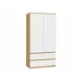 Riidekapp top e shop MALWA SS-90, 900×500×1800 mm, käsitöötamme raam, valged hingedega uksed, 2 sahtlit, puitlaastplaat