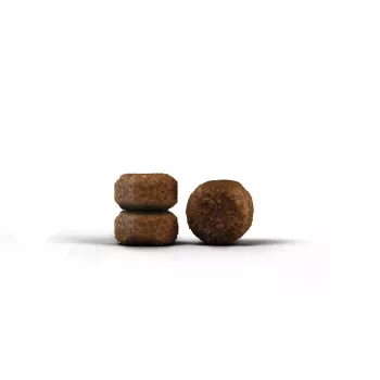 Kuiv kassitoit Josera 9362 täiskasvanud kana pirn linnuliha bataat 2 kg