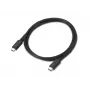 Lenovo | Thunderbolt4 USB-C to C kaabel, 1 m