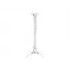 Laealus Multibrackets M Universal Projector Mount I