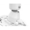 Lae projektori kinnitus MULTIBRACKETS M HD reguleeritav 620–800 mm, valge, max 30 kg