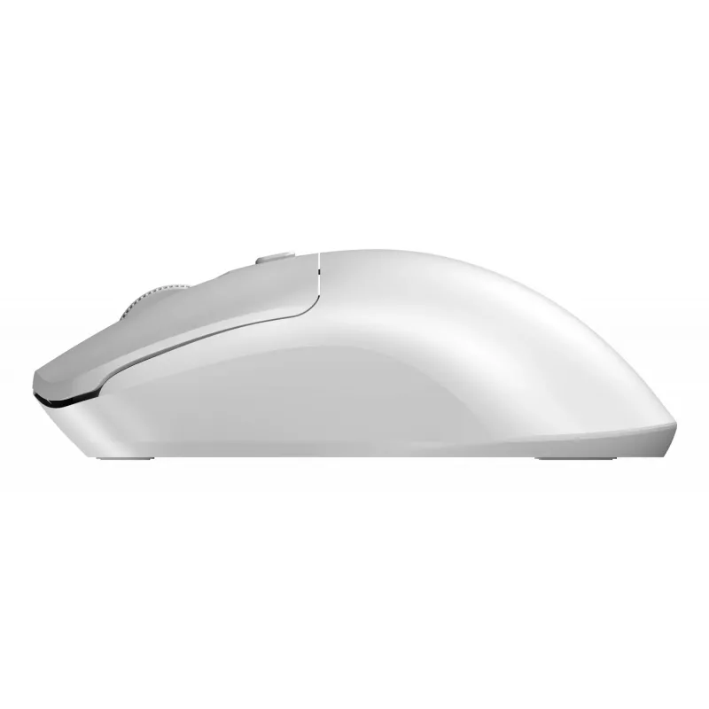 Sandberg Wireless hiir Saver Valge, Mõlemakäeline, RF Wireless, 1600 DPI, Valge