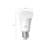 Philips Hue Valge and colour ambience A60 – E27 nutipirn – 810