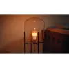 Philips Hue Valge and colour ambience A60 – E27 nutipirn – 810
