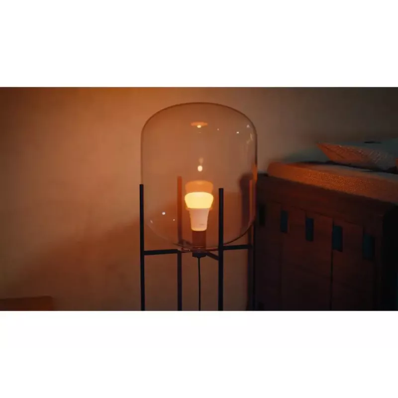 Philips Hue Valge and colour ambience A60 – E27 nutipirn – 810