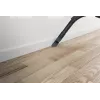 Hoover HP105HM 011 2 L silindertolmuimeja Kuiv 700 W ilma kotita