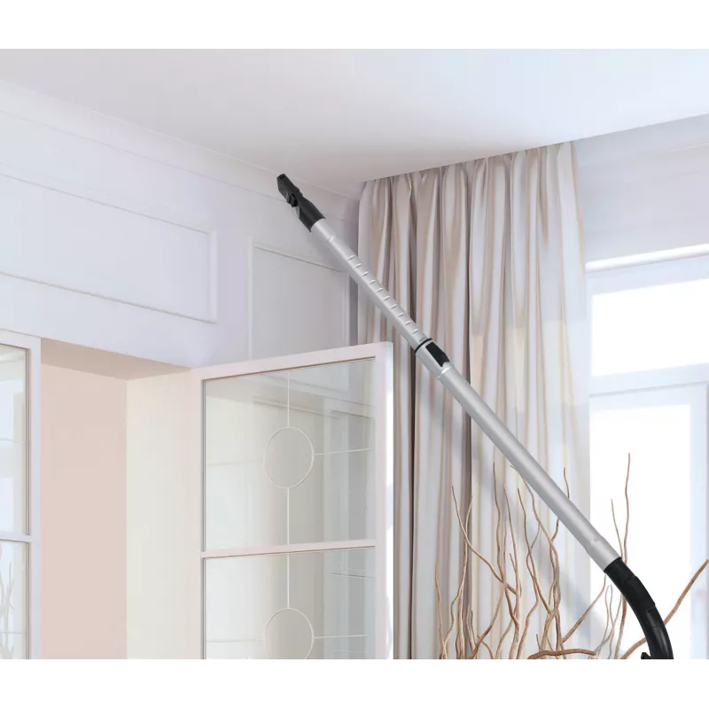 Hoover HP210P 011 2,5 L silindertolmuimeja Kuiv 800 W Tolmukotita