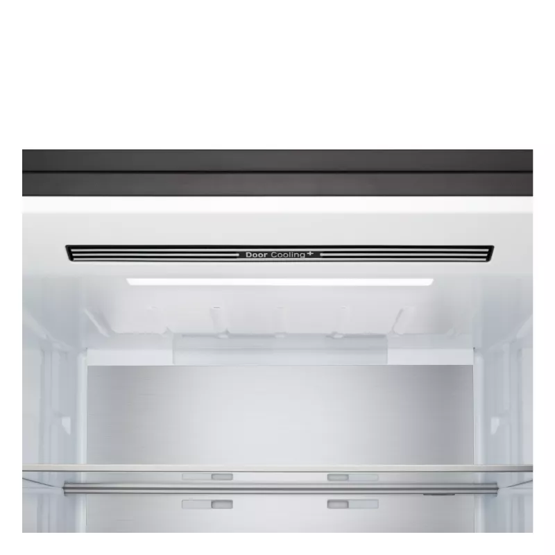 LG GBBW726CEV eraldiseisev 465 L must