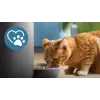 Automaatne lemmikloomasöötur Philips 5000 seeria PAW5320/02 kaameraga, 4,5 L toidu- ja veemahutavus, plastkorpus, siseruumides kasutamiseks